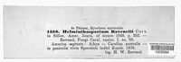 Curvularia ravenelii image